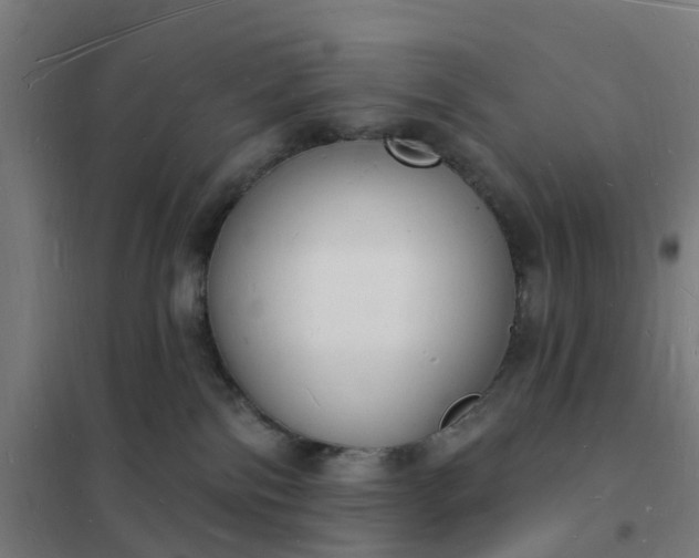 X0000101690138200807241417