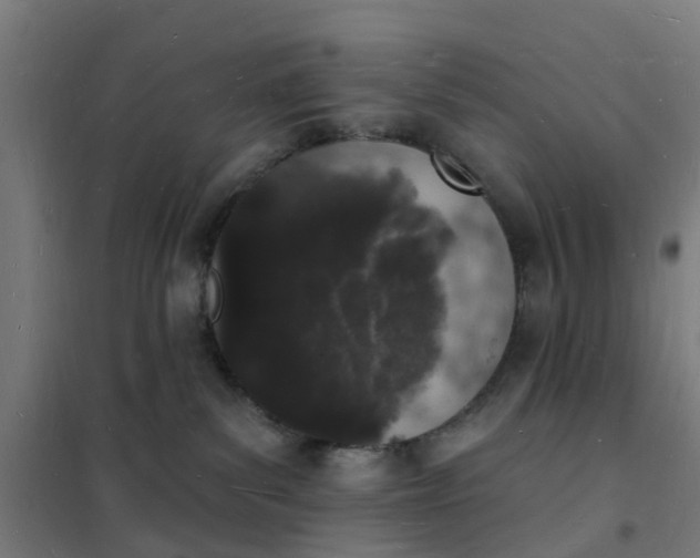 X0000101690139200807241417