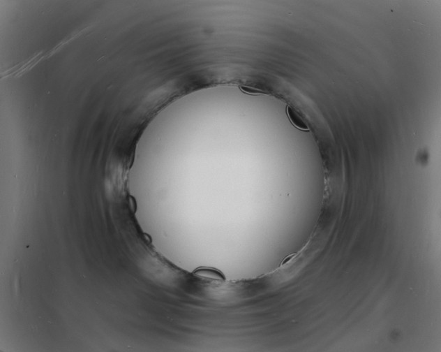 X0000101690142200807241417