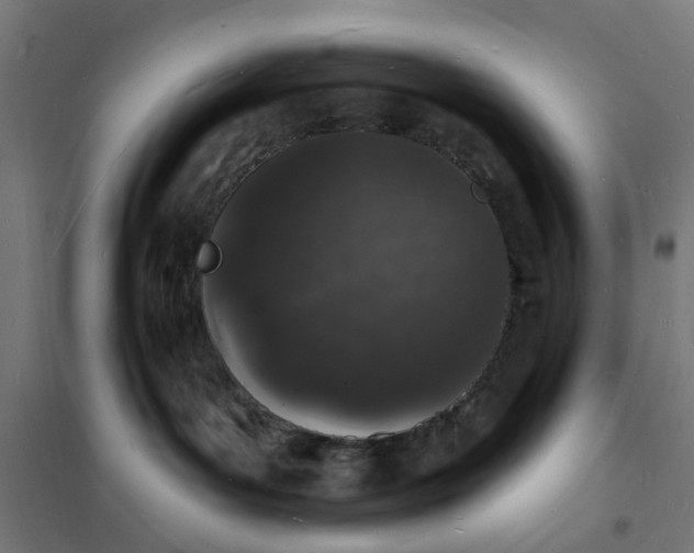 X0000101690143200807241417