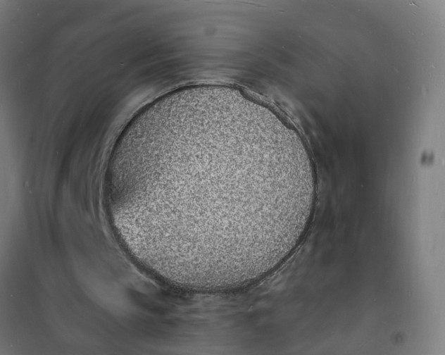 X0000101690145200807241416