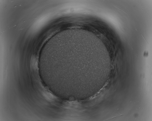 X0000101690146200807241416