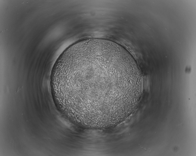 X0000101690147200807241416