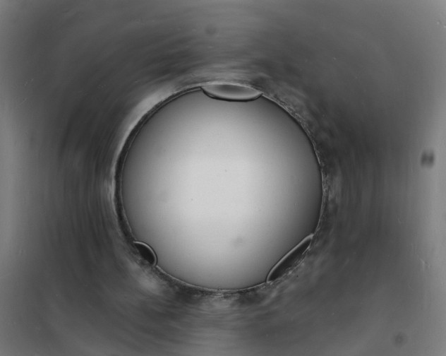 X0000101690148200807241416