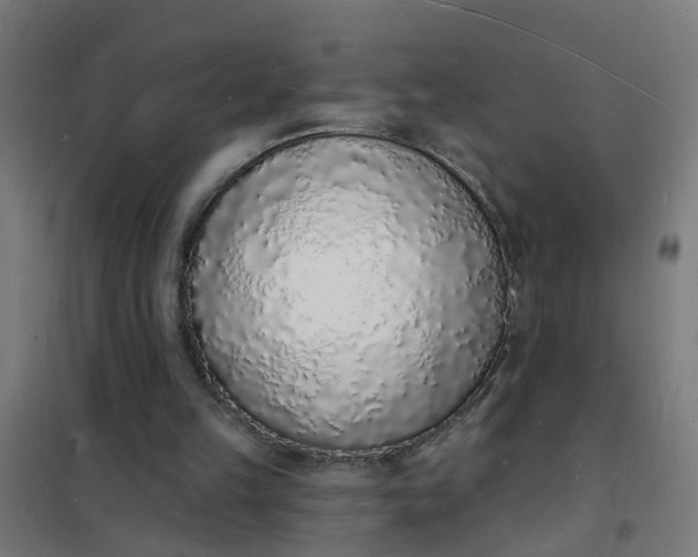 X0000101690149200807241416