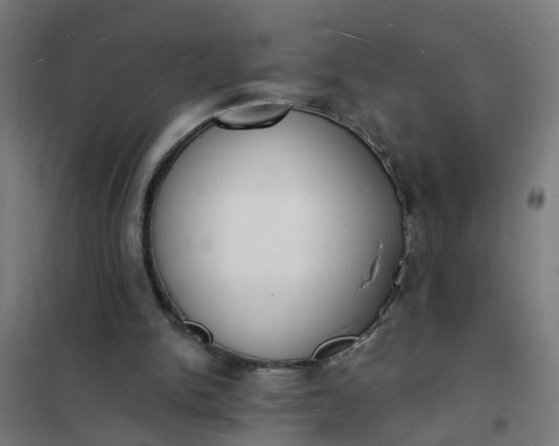 X0000101690150200807241416