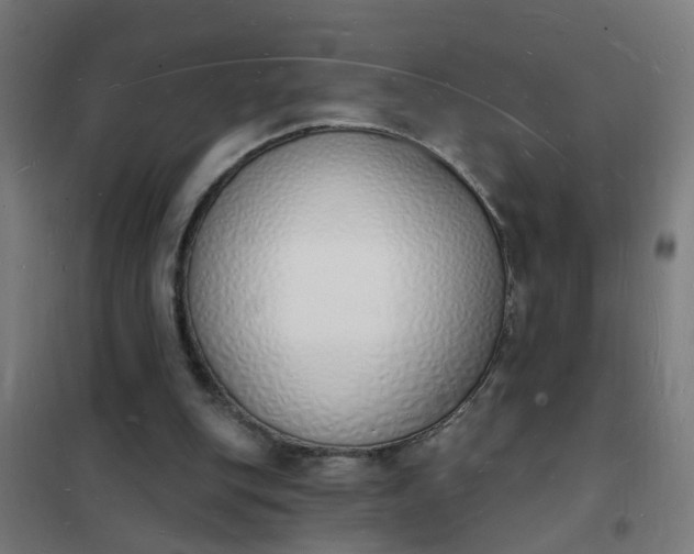 X0000101690151200807241416