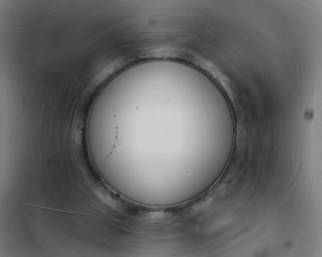 X0000101690153200807241417