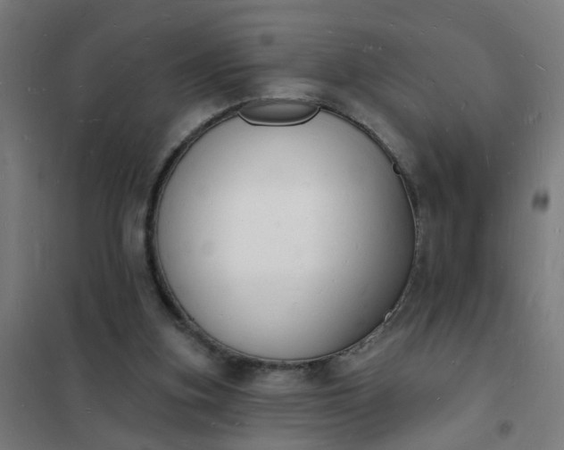 X0000101690155200807241417