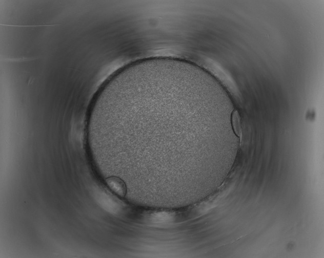 X0000101690156200807241417