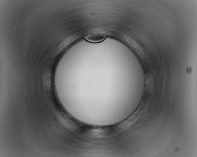 X0000101690158200807241417