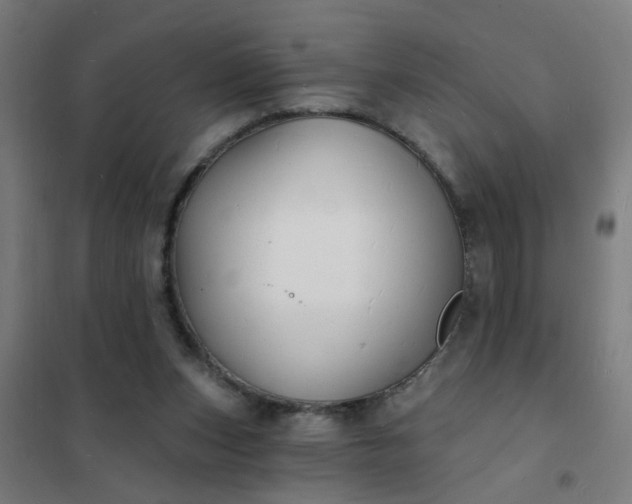 X0000101690159200807241417