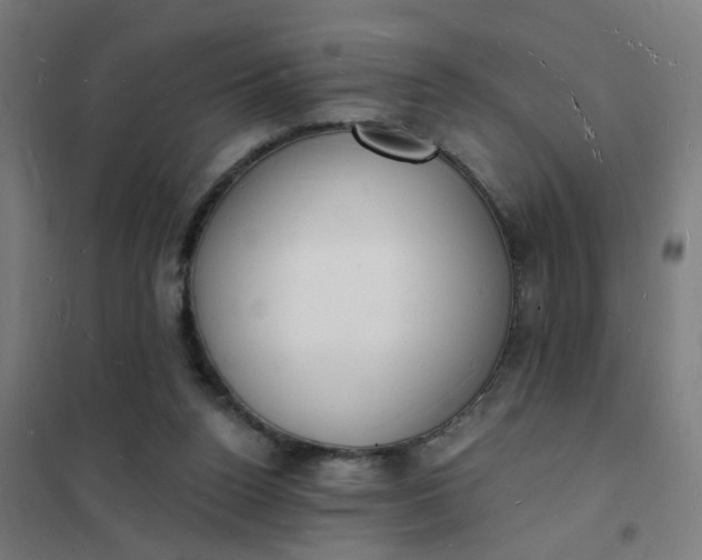 X0000101690160200807241417