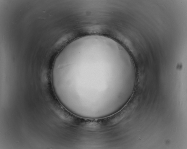 X0000101690161200807241417