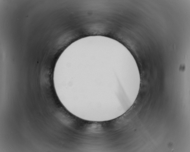 X0000101690162200807241417