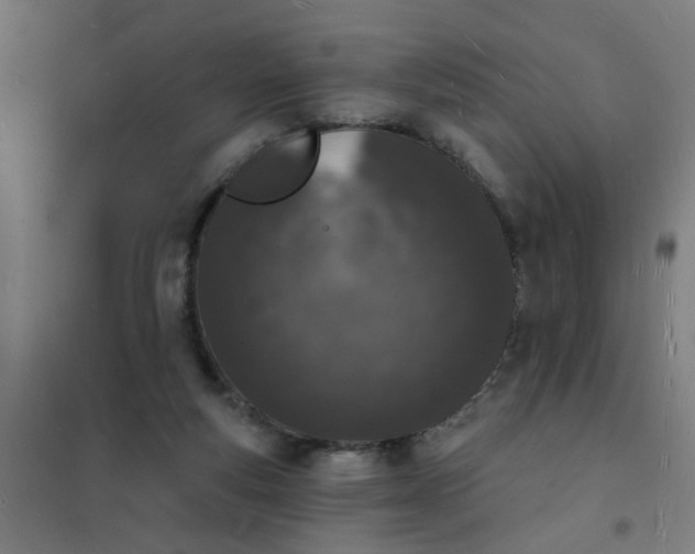 X0000101690163200807241417