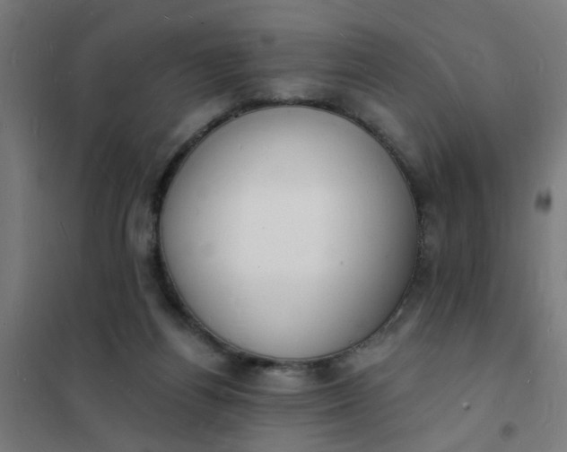 X0000101690164200807241417