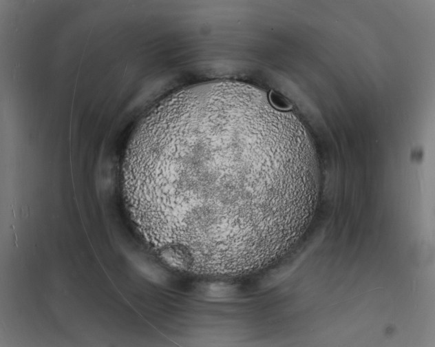 X0000101690165200807241417