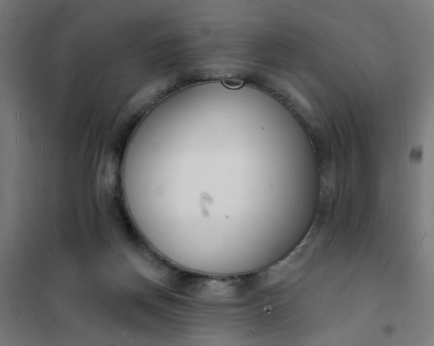 X0000101690166200807241417