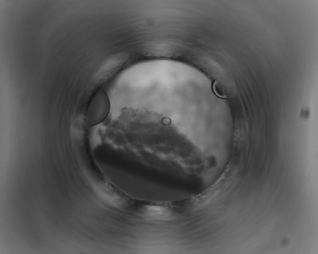 X0000101690167200807241417