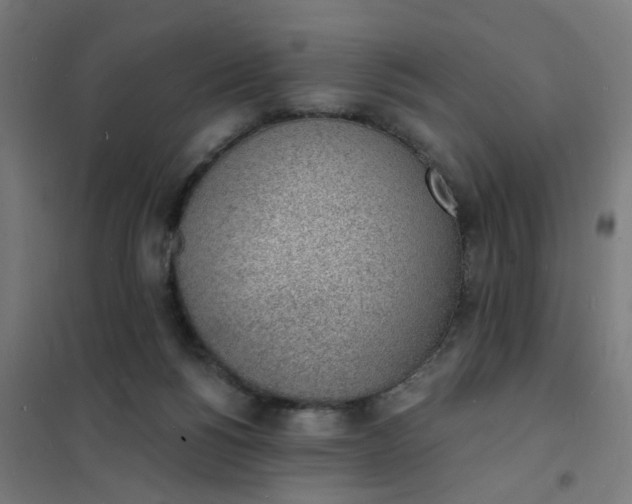 X0000101690168200807241417