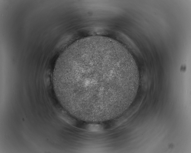 X0000101690169200807241417