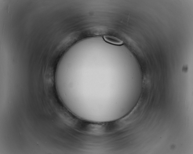 X0000101690170200807241417