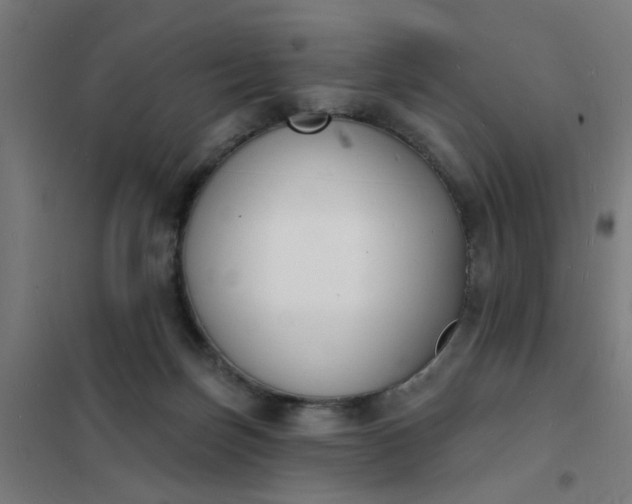 X0000101690171200807241417