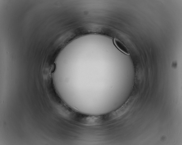 X0000101690172200807241417