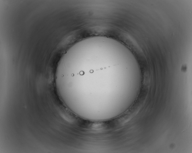 X0000101690173200807241417