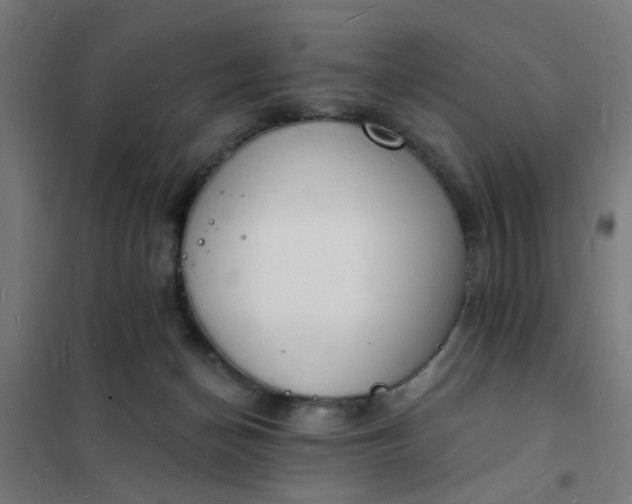 X0000101690174200807241417