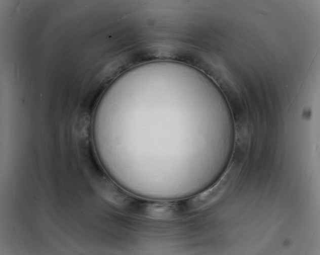 X0000101690175200807241417