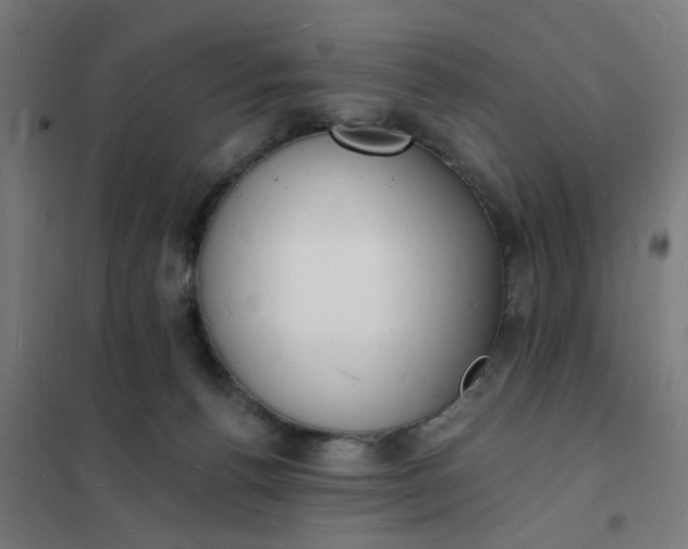 X0000101690176200807241417