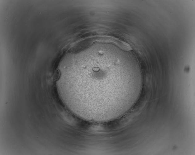 X0000101690177200807241417