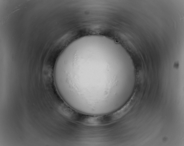 X0000101690178200807241417