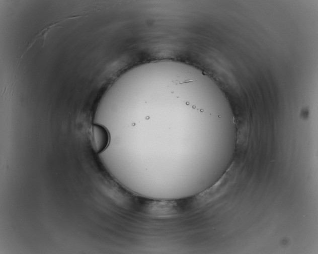 X0000101690179200807241417