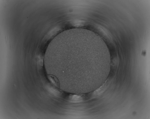 X0000101690180200807241417