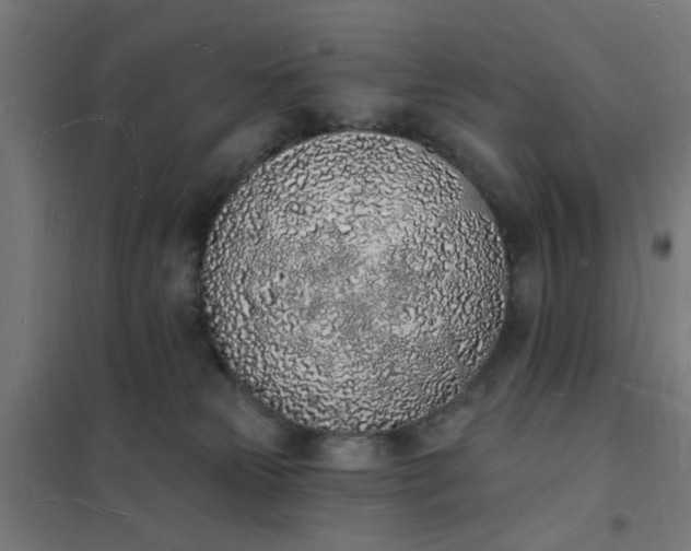 X0000101690181200807241417