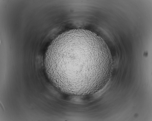 X0000101690182200807241417