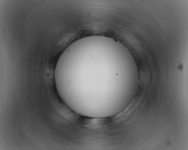 X0000101690184200807241417