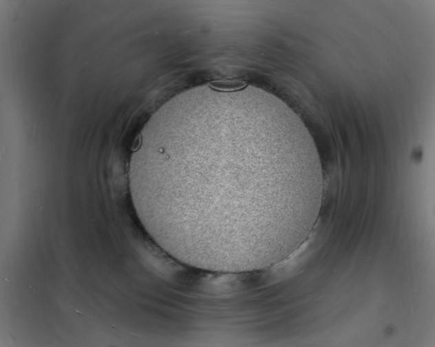 X0000101690186200807241417