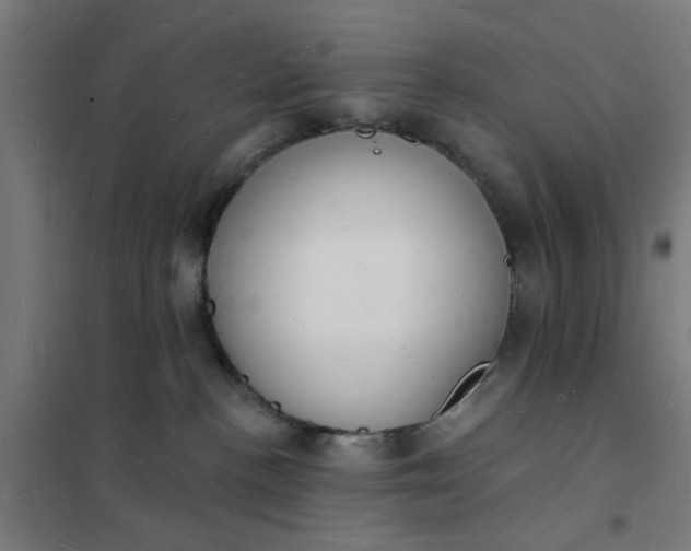 X0000101690188200807241417