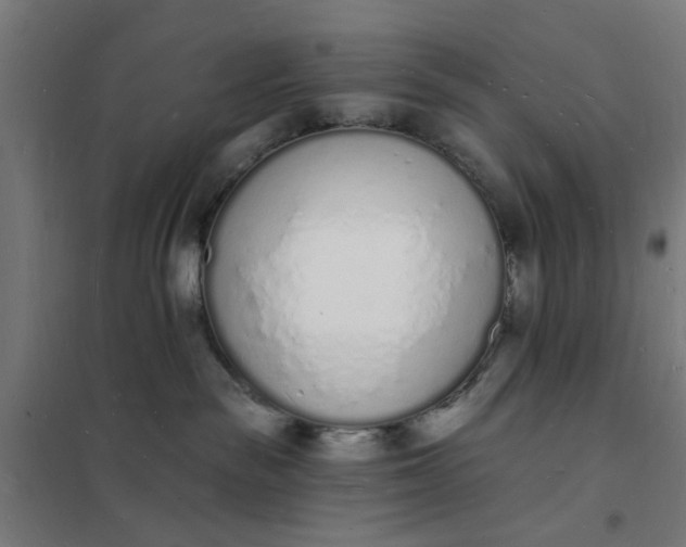 X0000101690189200807241417