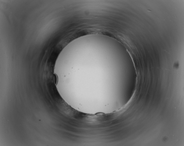 X0000101690190200807241417