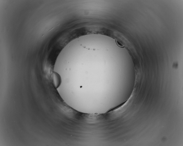 X0000101690191200807241417