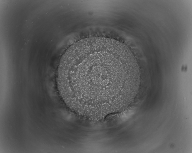 X0000101690192200807241417