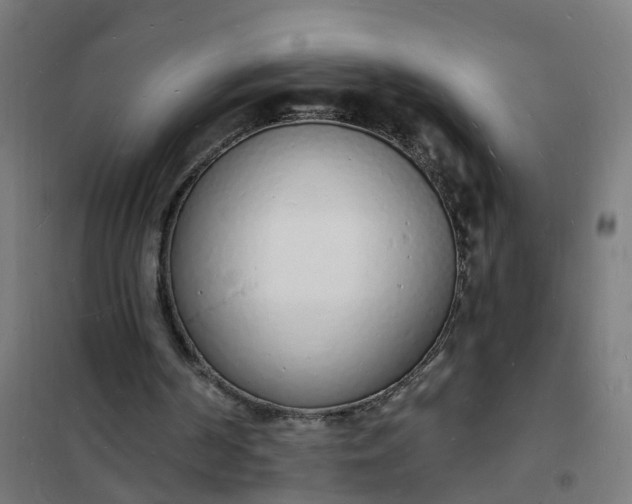 X0000101690194200807241416