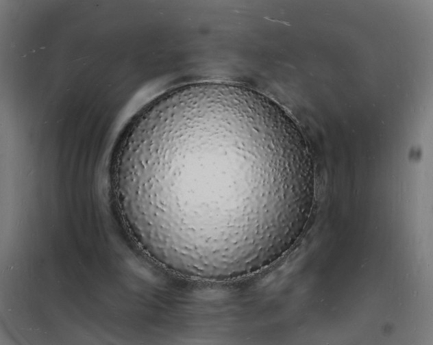 X0000101690198200807241416