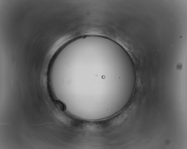 X0000101690199200807241416