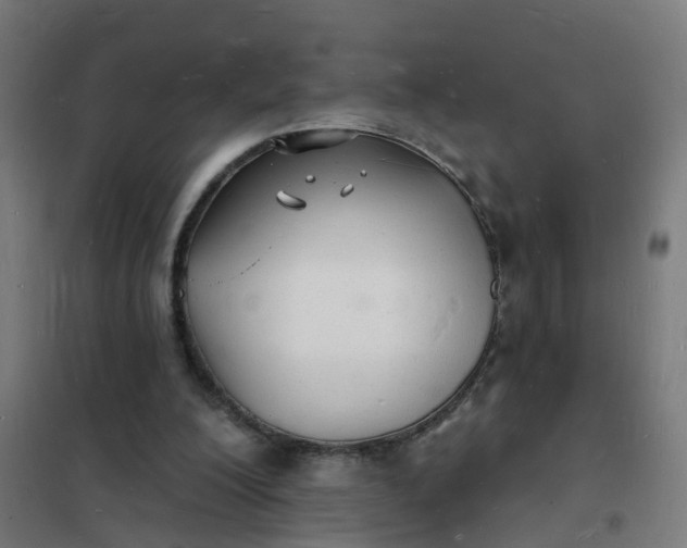 X0000101690200200807241416